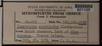 Image Associated With the Occurence